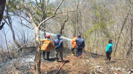 KEBAKARAN HUTAN DI ARAE PERBUKITAN SELOHARJO